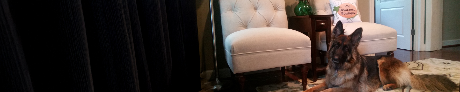 About The Insurance Boutique