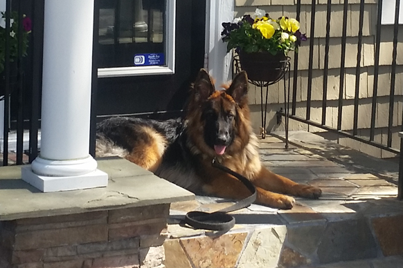 Content Banner Image